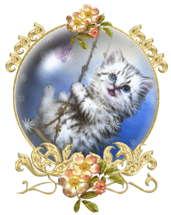 katze